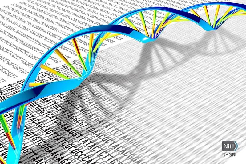 genomegov/Flickr