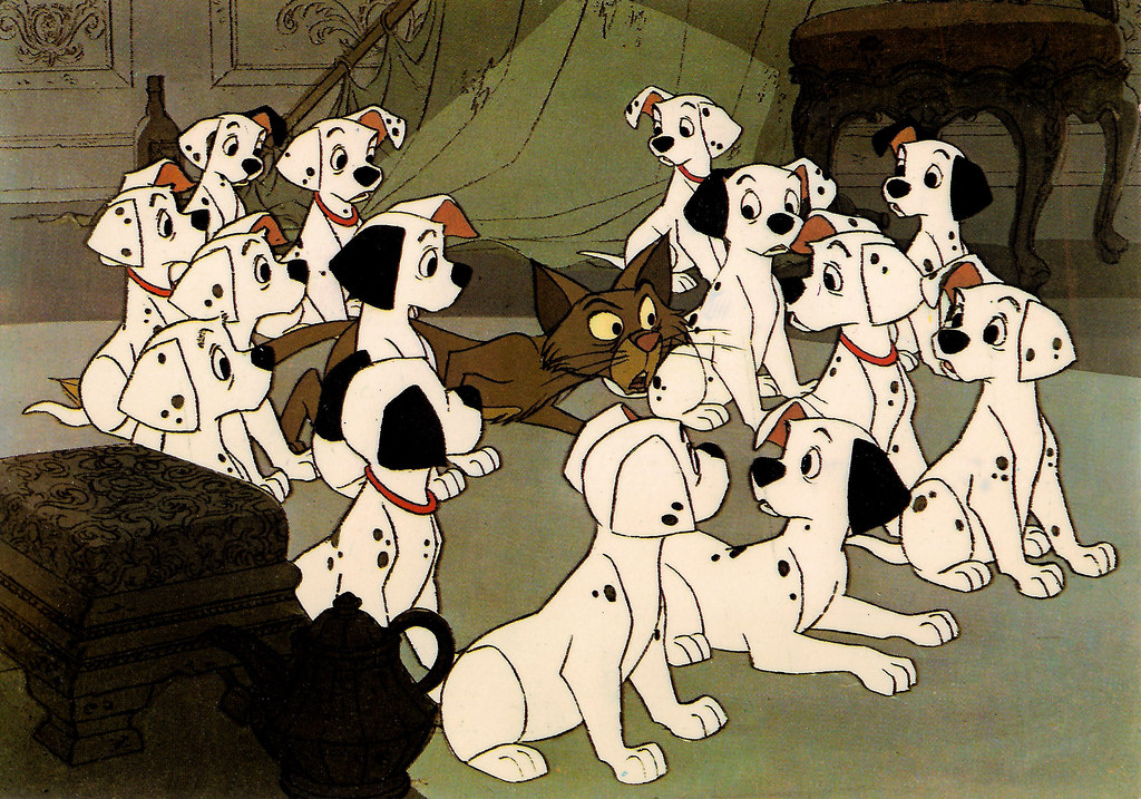 Flickr/Truus, Bob & Jan too!