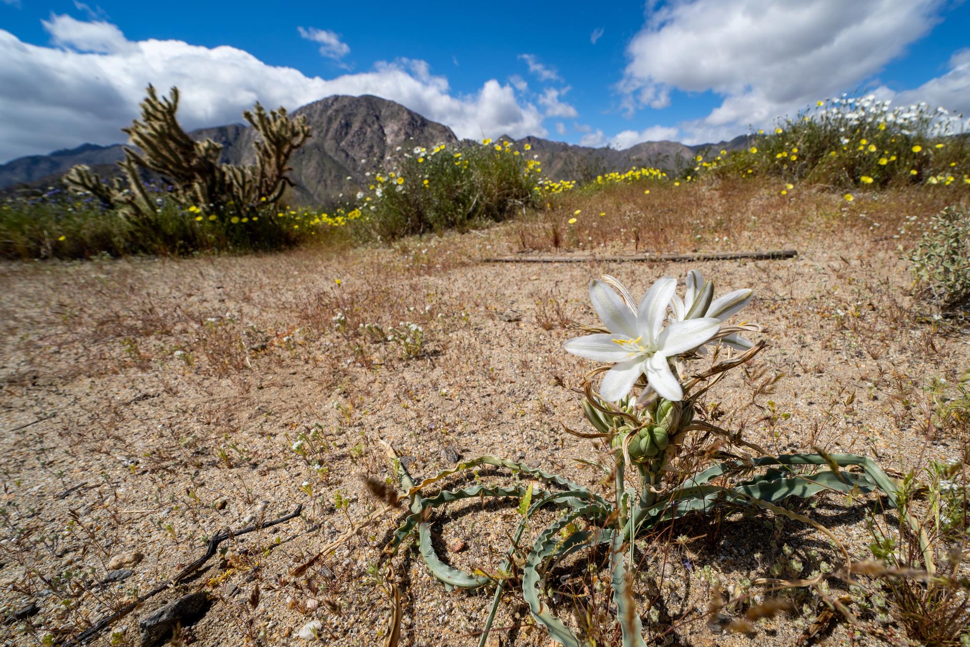 DepositPhotos