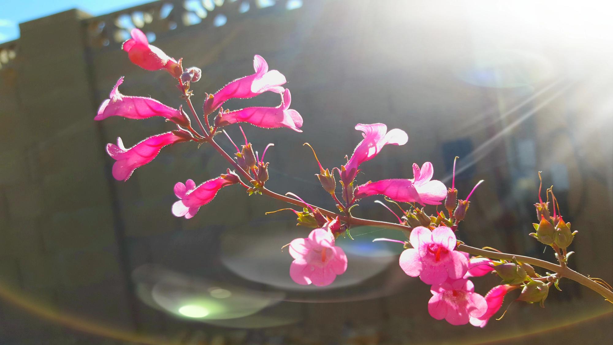 DepositPhotos