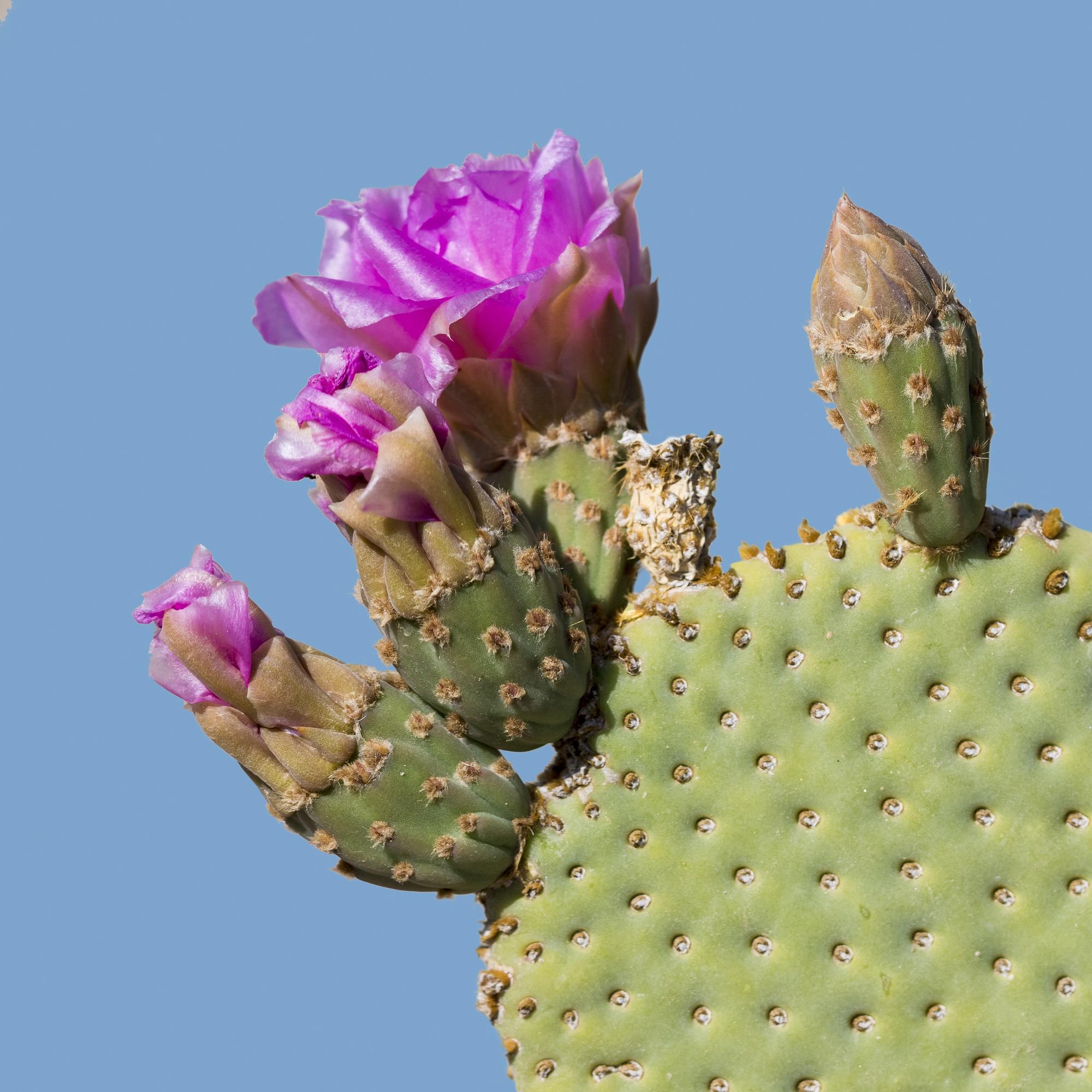 DepositPhotos