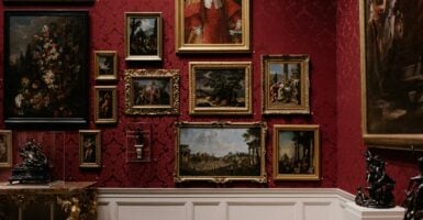 Unsplash/ Andrew Neel