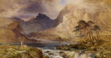 Unsplash/Birmingham Museums Trust