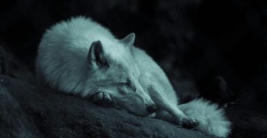 Unsplash/Grégoire Bertaud