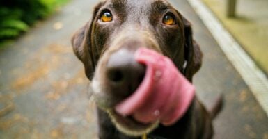 Unsplash/James Barker