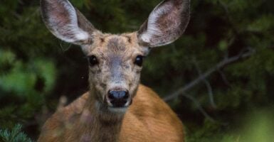 Unsplash/ Keyang Zheng