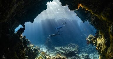 Unsplash/NEOM