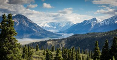 Unsplash/ Kalen Emsley