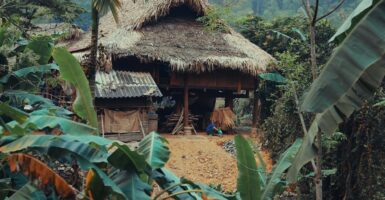 Unsplash/Minh Triet