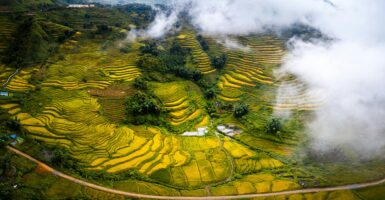 Unsplash/Huy Nguyen