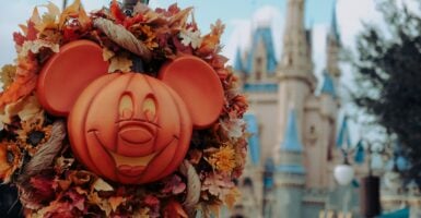 Unsplash/Aiden Craver