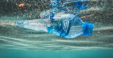 unsplash/Naja Bertolt Jensen