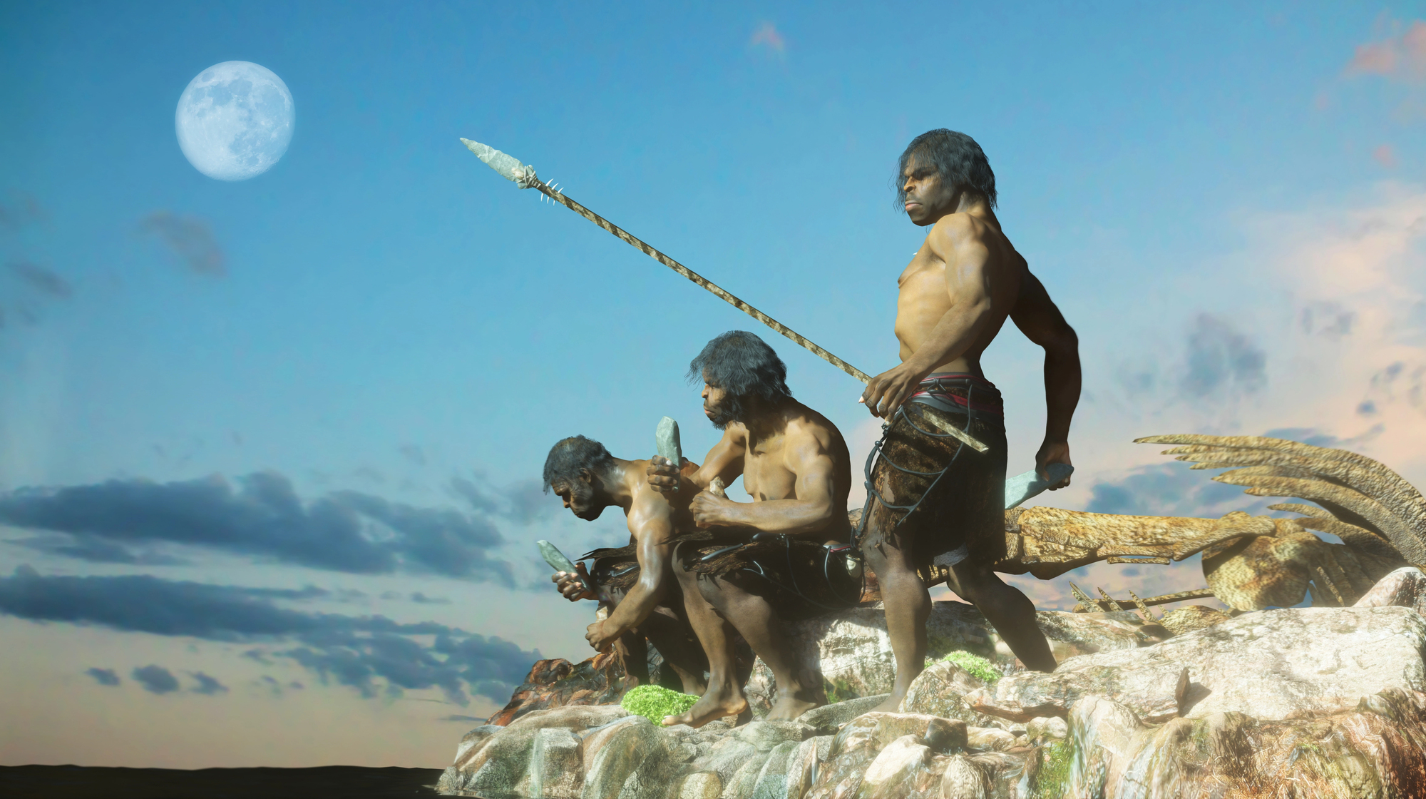 Incorrect Assumptions About Early Human Evolution