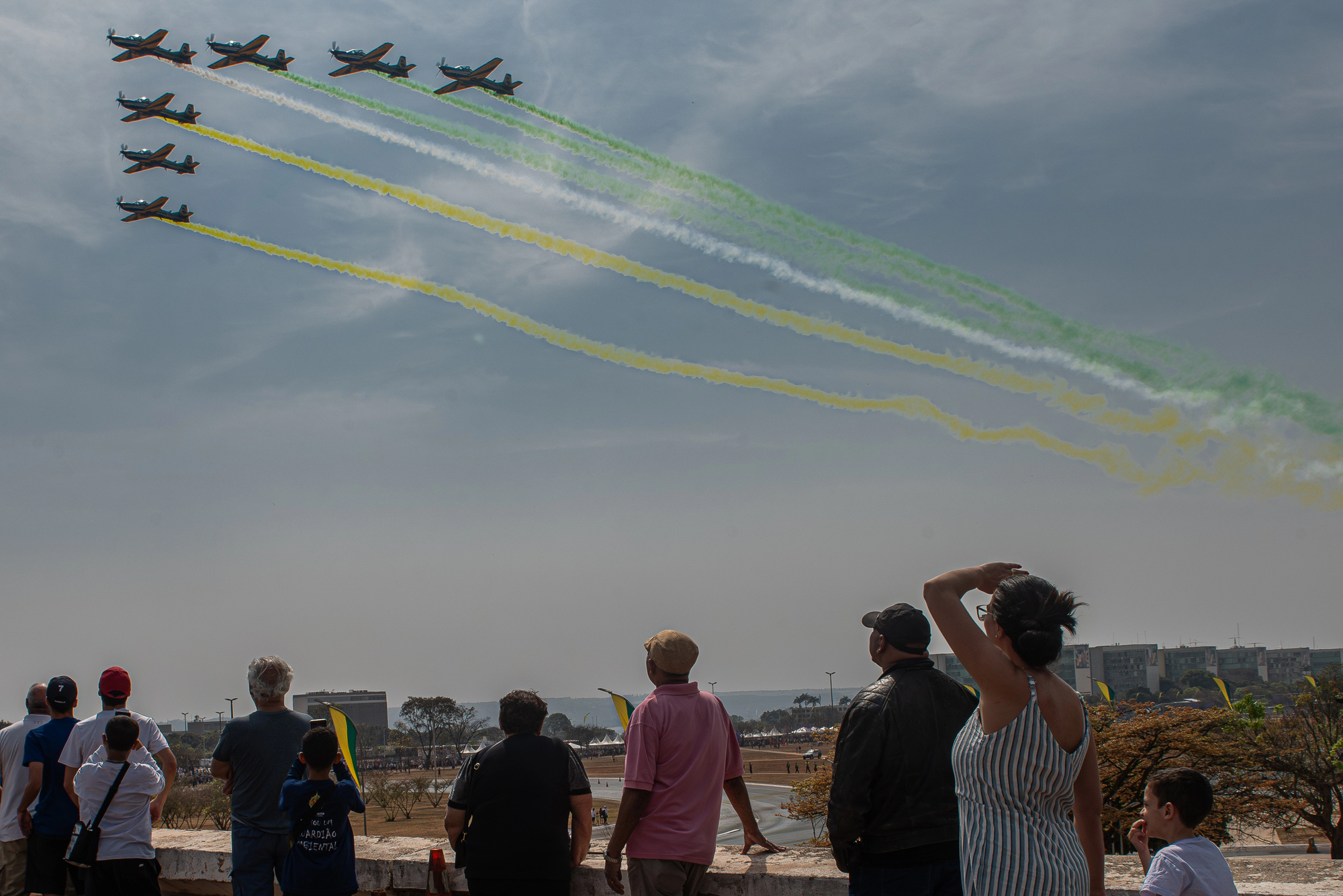 Surprising Aviation Facts About Aerial Parade Shows