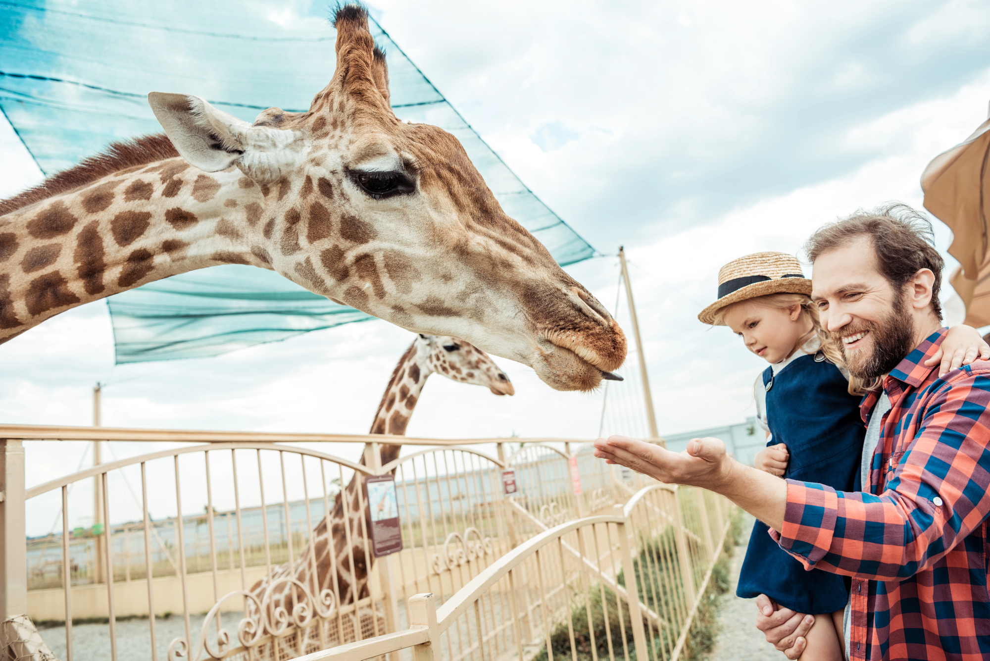32 Zoos and Sanctuaries That Changed How the World Thinks About Wildlife
